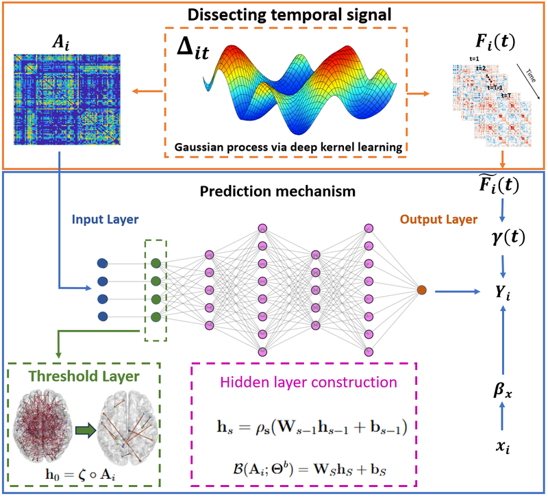 Bayesian deep learning framework for dynamic functional connectivity